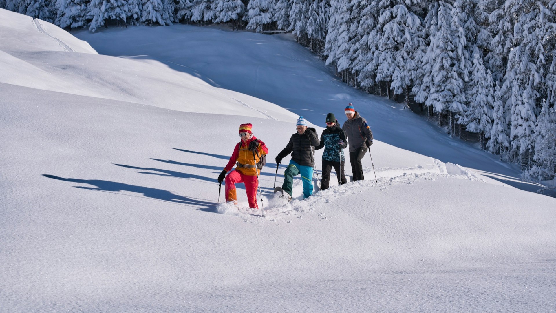 Groep wandelaars in diepe sneeuw tijdens wintersport vakantie in bergachtig landschap